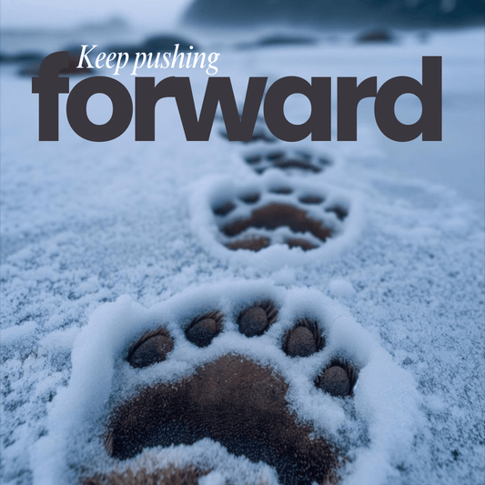 Forward - bland några få